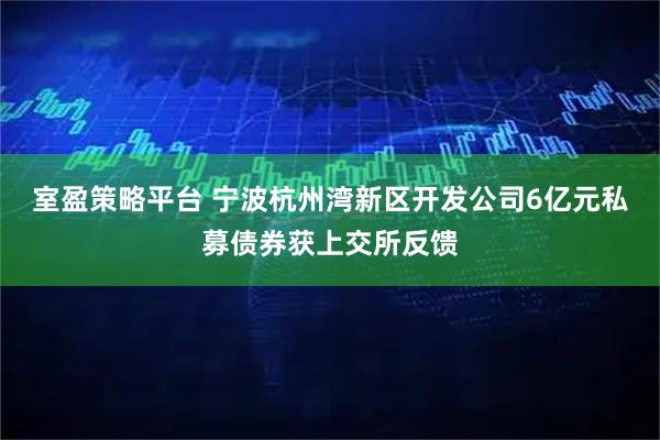 室盈策略平台 宁波杭州湾新区开发公司6亿元私募债券获上交所反馈
